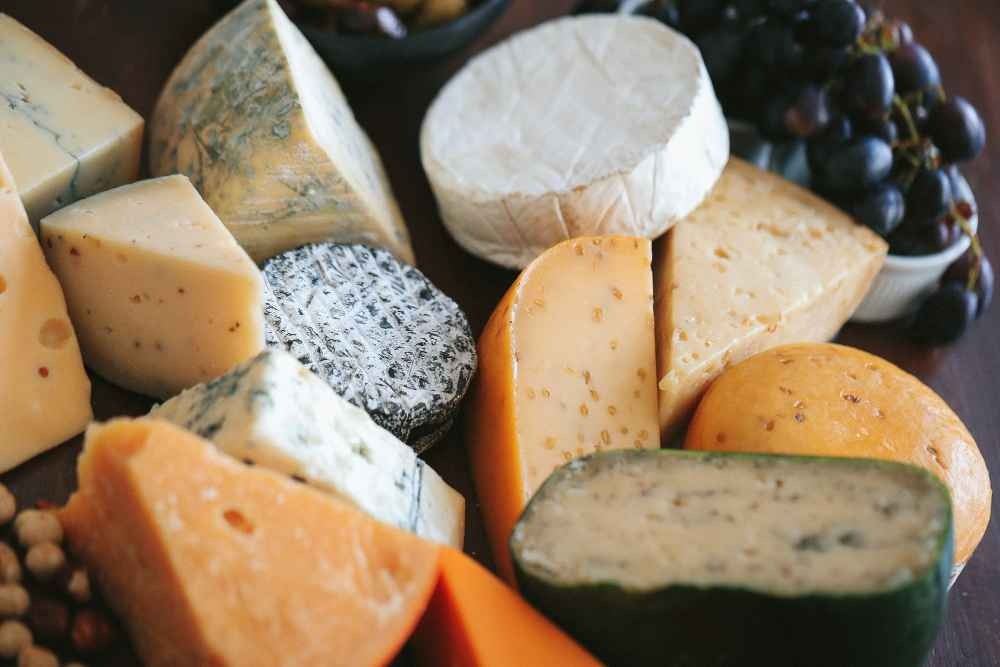 ¿Cuáles son los mejores quesos de España?